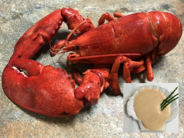 "Frühlings-Aktion" - 1 x Hummer Kanada (800 - 1000 g) gekocht + 1 x Cocktailsauce 100 g gratis dazu